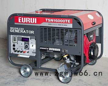 日本原装进口EURUI东洋发电机TSN16000TE图5