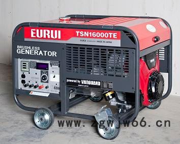 日本原装进口EURUI东洋发电机TSN16000TE图8