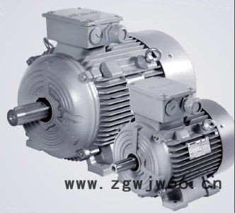 原装进口西门子三相异步电机1LE0002-2CA2 2 极 55KW图2