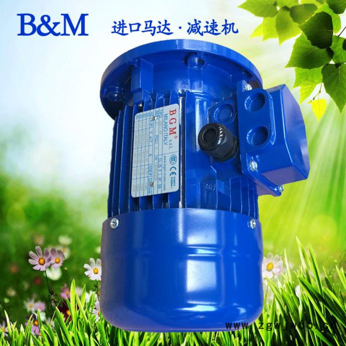 苏州销售意大利BGM马达，进口电机马达，BM80B2-1.1KW电机图3