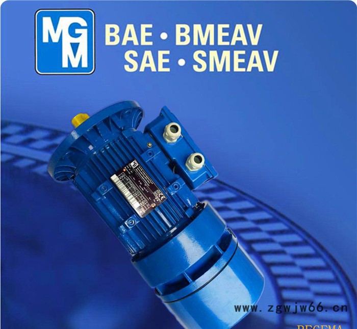 意大利原装进口MGM刹车电机,上海MGM制动马达,MGM刹车BA112MB2图2