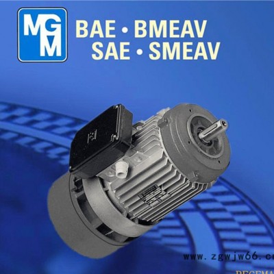 意大利原装进口MGM刹车电机，上海MGM制动马达，MGM刹车BA112MB2