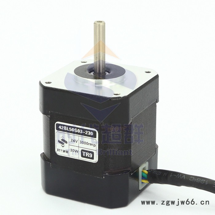 42直流无刷电机 42电机 24V 30W 3000转高速无图3