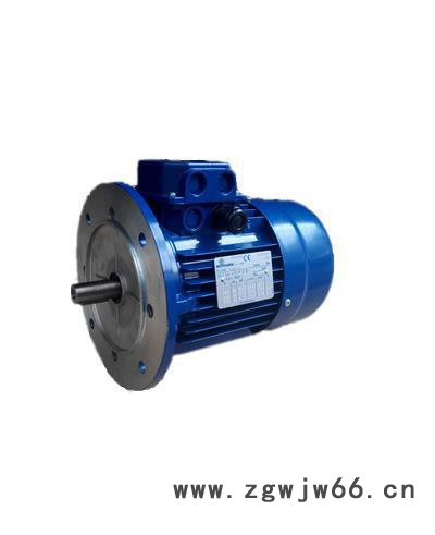 东莞MOTOVARIO电机摩多利进口马达减速机图3