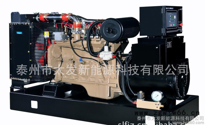 300KW煤层气发电机组-进口发电机组-太发新能源科技