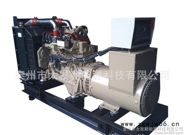 300KW煤层气发电机组-进口发电机组-太发新能源科技图2