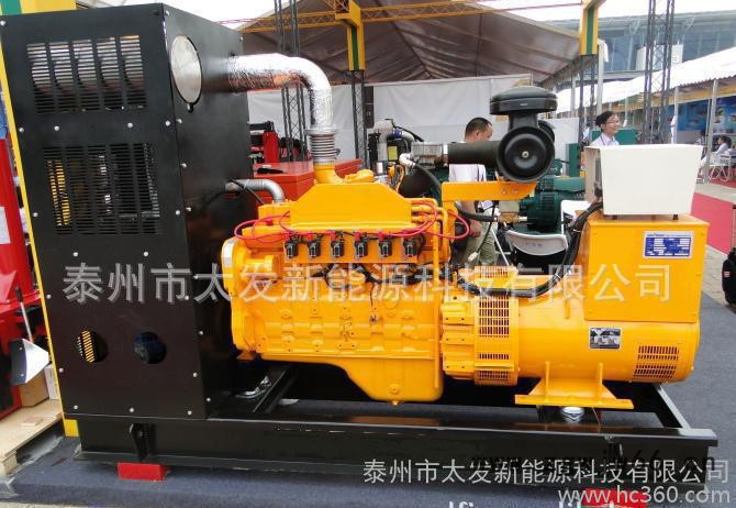 300KW煤层气发电机组-进口发电机组-太发新能源科技图3