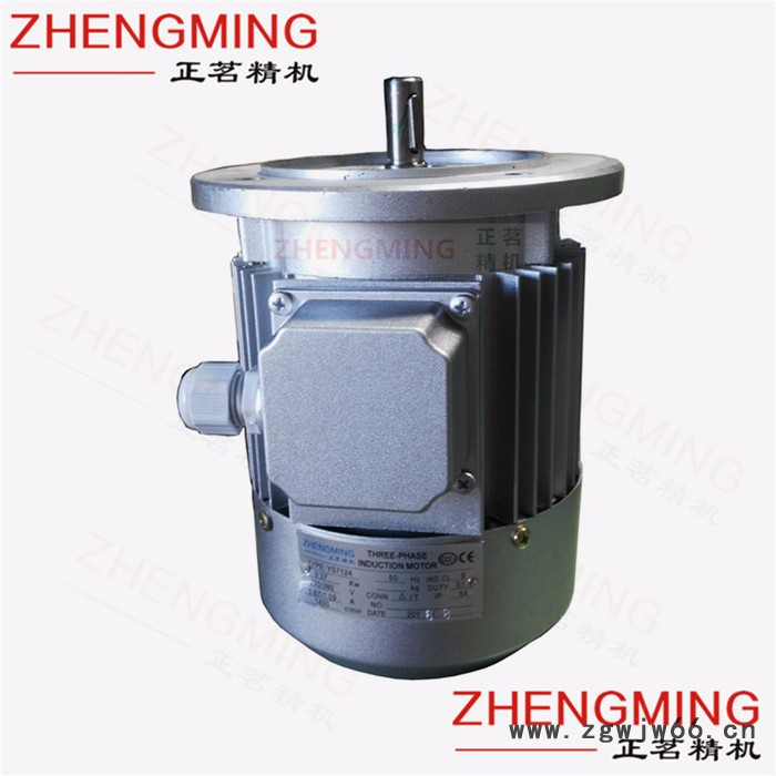 正茗精机YS-6314-120W（4级） 三相异步电机图5