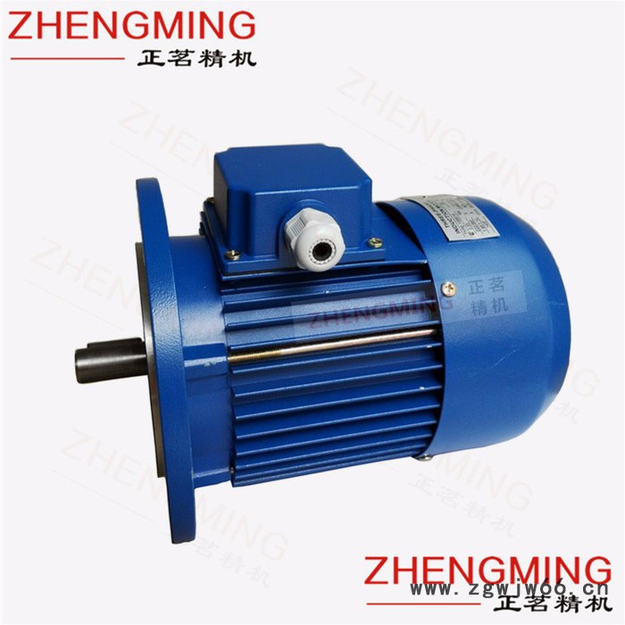 正茗精机YS-6314-120W（4级） 三相异步电机图2