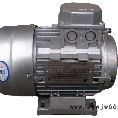 供应丹东山川YD**丹东山川YD三相异步电机80-B3电机