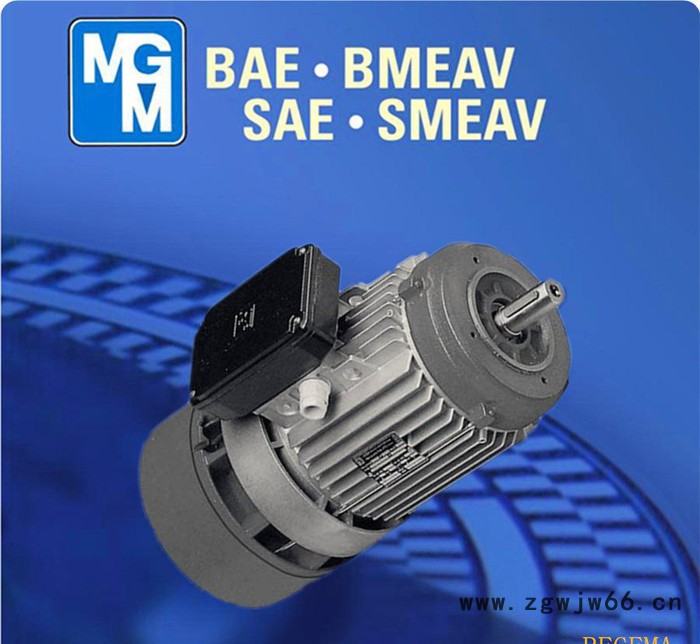 原装进口MGM电机，MGM意大利，原装**MGM制动马达，BA80B2图2