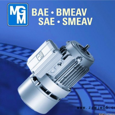 原装进口MGM电机，MGM意大利，原装**MGM制动马达，BA80B2