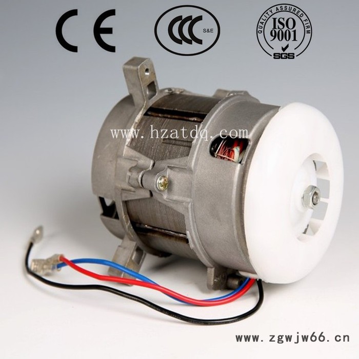 供全国高质量榨汁机专用电机/单相异步电机厂家图2