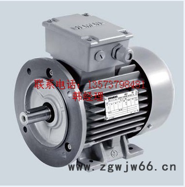 西门子1LG0低压交流异步电机,0.55kw/220v/38图2