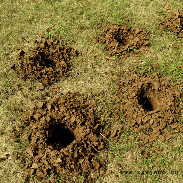 供应绿节牌锂电型无刷电机多功能电动地钻_钻孔机图3