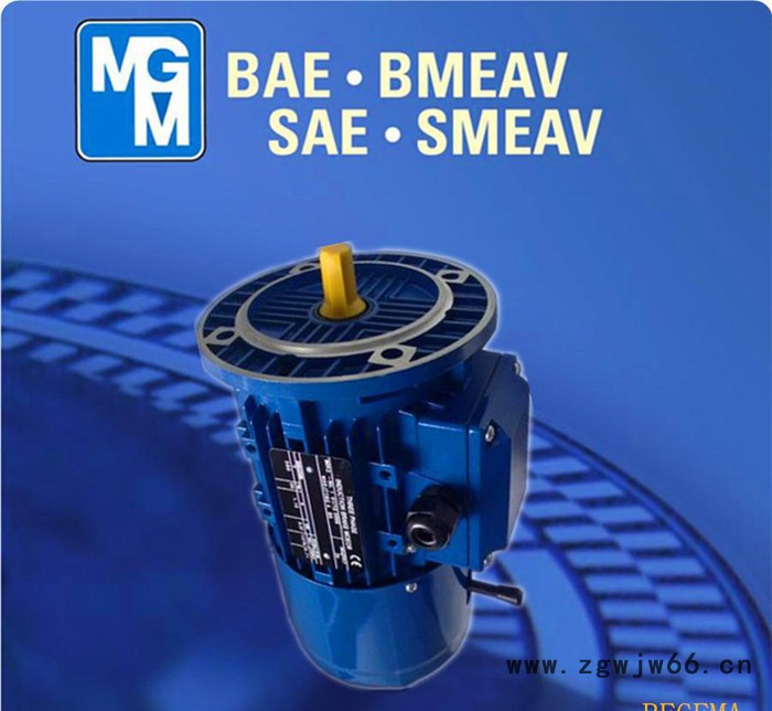 原装进口MGM电机，MGM意大利，原装**MGM制动马达，BA100LB6图2