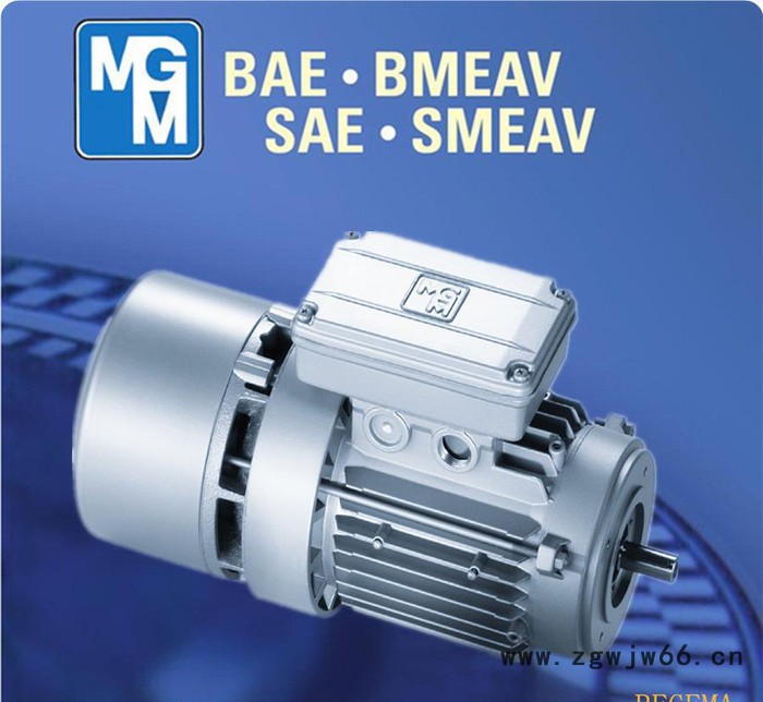原装进口MGM电机，MGM意大利，原装**MGM制动马达，BA100LB6图3