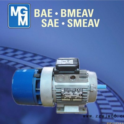 原装进口MGM电机，MGM意大利，原装**MGM制动马达，BA100LB6