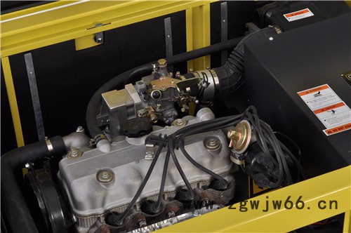 YT15REG纯进口动力发电机图4