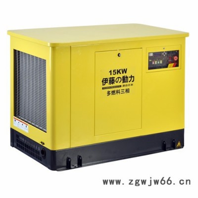 YT15REG纯进口动力发电机