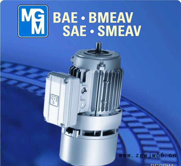 意大利原装进口MGM刹车电机，北京MGM制动马达，MGM刹车BA112MB6图2