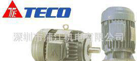 TECO电机马达台湾东元涡流-原装进口图2