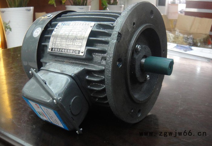 TECO电机马达台湾东元涡流-原装进口