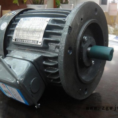 TECO电机马达台湾东元涡流-原装进口