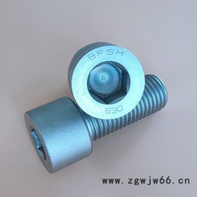 美国进口内六角紧固件630螺丝