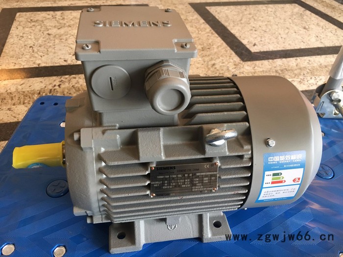 SIEMENS/西门子1LE0001-1CB23-3AA4 西门子电机 -西门子进口电机-全新现货图4