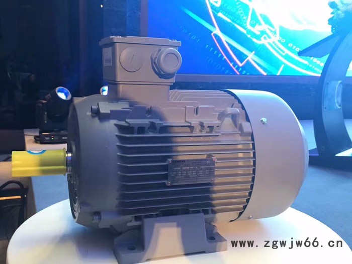 SIEMENS/西门子1LE0001-1CB23-3AA4 西门子电机 -西门子进口电机-全新现货图2