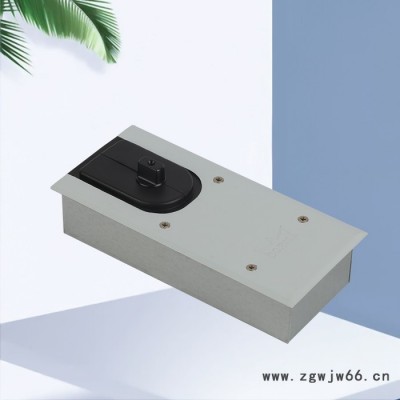 多玛地弹簧 BTS60TT 地弹簧直供 地弹簧品牌