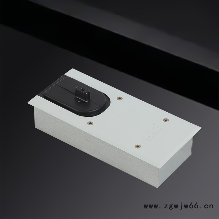 多玛地弹簧 BTS60TT 地弹簧直供 地弹簧品牌图2