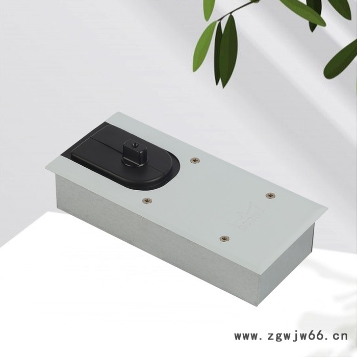 多玛地弹簧 BTS60TT 地弹簧直供 地弹簧品牌图3