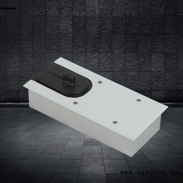 多玛地弹簧 BTS60TT 地弹簧直供 地弹簧品牌图5