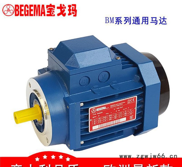 保定厂价直销意大利BEGEMA宝戈玛机械用三相异步电机750WABB款