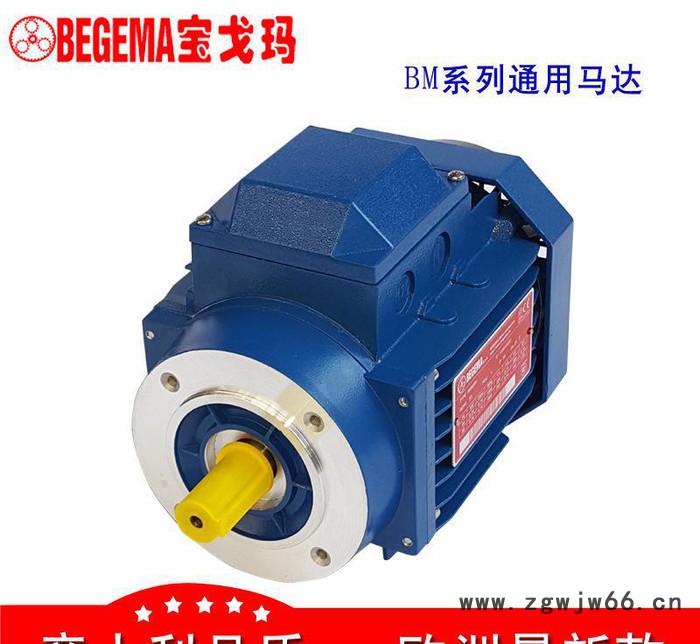 保定厂价直销意大利BEGEMA宝戈玛机械用三相异步电机750WABB款图2
