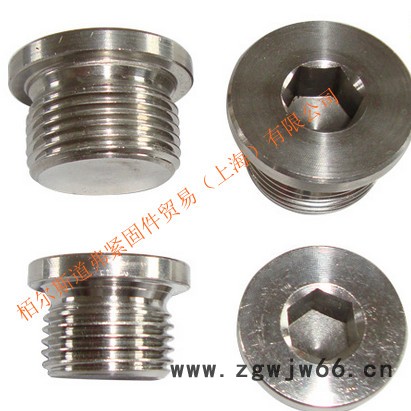 高强度紧固件堵头定制图7