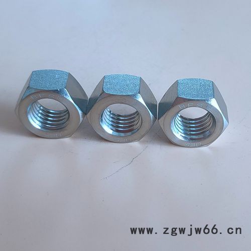 高温耐腐蚀紧固件330螺母图5