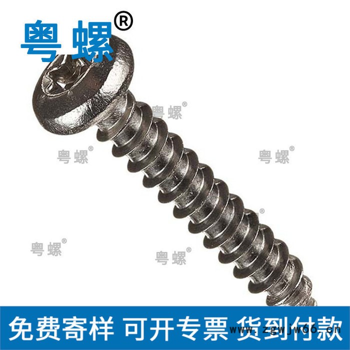 多种规格沉头自攻螺钉 广州生产紧固件自攻螺钉 加工 粤螺内六角螺丝厂家图5
