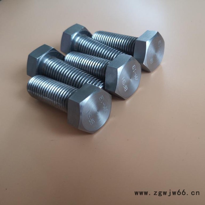 不锈钢紧固件XM-19螺栓图2