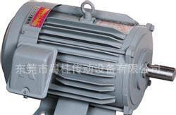 日本三菱MITSUBISHI电机 进口三菱马达 SF-JR图2