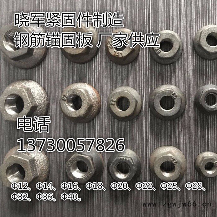 钢筋机械锚固板生产/晓军紧固件河北永年