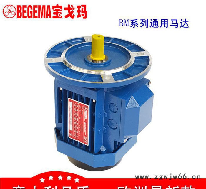 四川厂价直销意大利BEGEMA宝戈玛工业通用三相异步电机7.5kwABB款图2