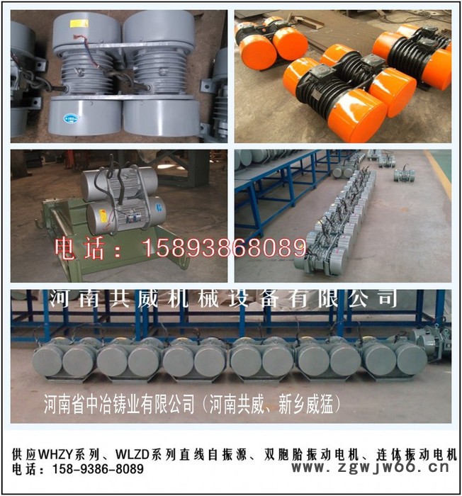 中冶振动电机与进口相** WHZY-2*30-4图2
