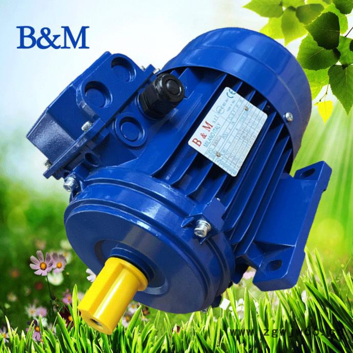 苏州宝戈玛现货 三相异步电机 耐高温进口马达 BM80b4-b14图3