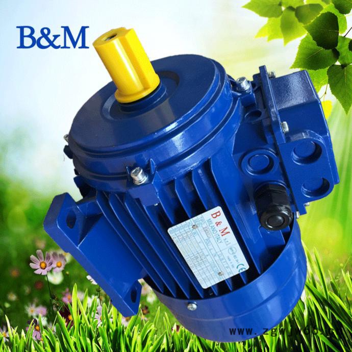 苏州宝戈玛现货 三相异步电机 耐高温进口马达 BM80b4-b14图2