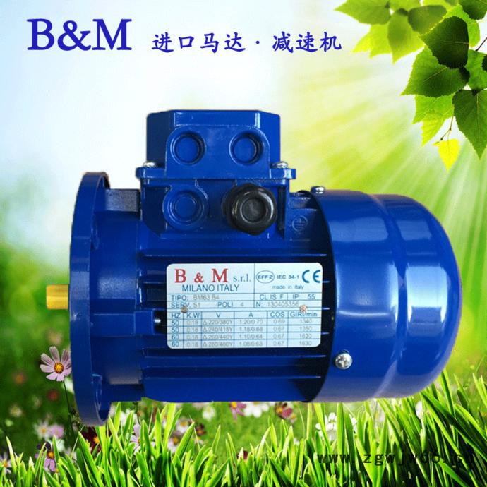 苏州宝戈玛现货 三相异步电机 耐高温进口马达 BM80b4-b14
