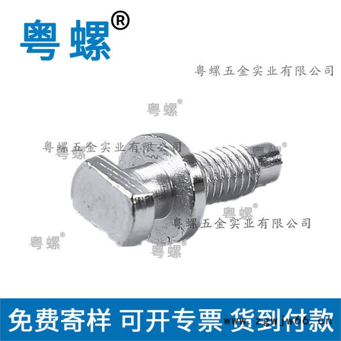 工业机械设备 佛山镀铬紧固件非标螺钉 铣扁螺丝 粤螺自攻螺丝钉m6图5