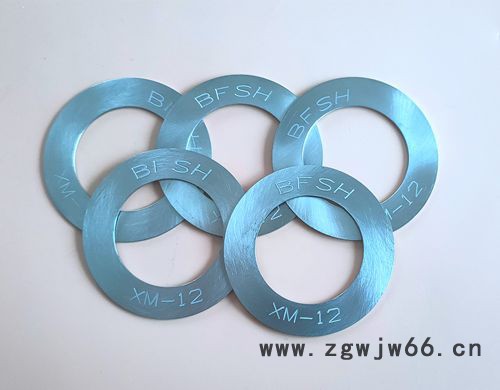 耐酸钢紧固件XM-12垫圈图8
